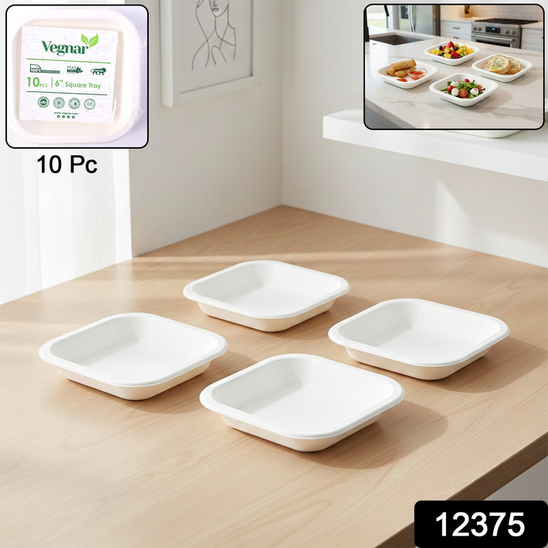 Disposable Square Food Serving Tray Set (10 Pc)